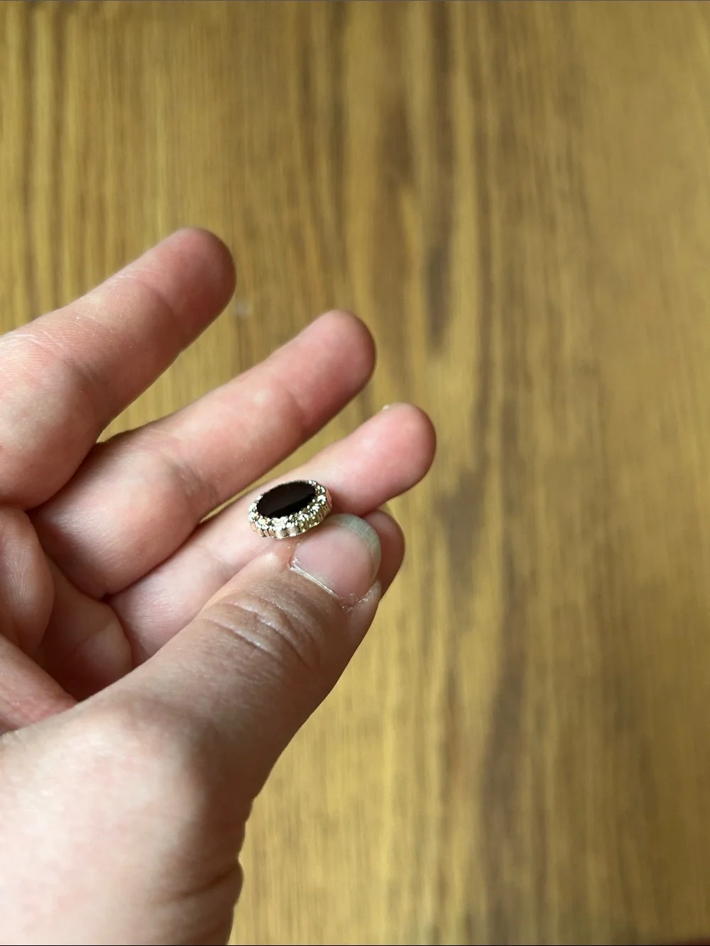 Gold-Edged Black Round Stud Earrings - Women